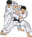 Judo 66697381