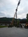 Maibaum 59223145