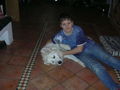 Meine Hunde 53586418