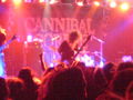 Cannibal Corpse 68287526