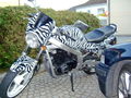 MEIN BIKE 51299547