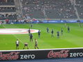 Ich bei Hertha - Schalke 04 51421761