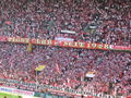 Ich bei 1.FC Köln - Mainz 05 51425319