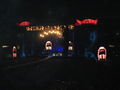 AC/DC - Wien 24.05.2009 60053044