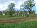 Motocross REnnen  Scharnstein 57998131