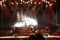 social distortion live 61175289