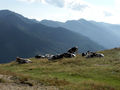 Bikertour NOCKBERGE & TURACHER HÖHEN 52051094