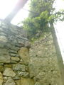 Ruine in Scharnstein 52453322