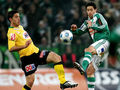 SK RAPID WIEN 55423922