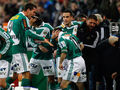 SK RAPID WIEN 55424169