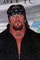 undertaker 55815396