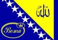 ~~BHF and BOSNA~~ 68414742