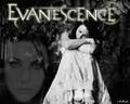 Evanescence 53768484