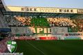 Rapid Wien 51936433