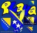 Bosna forever 58634942