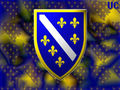 Bosna forever 58635024