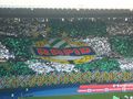 SK Rapid Wien 70848120