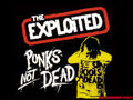 D-PunK/E-PunK 52111335