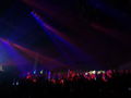 TIESTO 2008 55539618