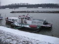 Au/Donau im winter o8/o9 54375026