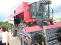 Umbedingt oschon 52531231