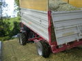 Mais Silage 09 67278513