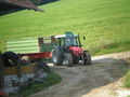 Mais Silage 09 67278531