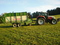 Silage 09 im kleinen format 68017664