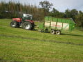 Silage 09 im kleinen format 68017701