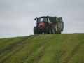 Silage 09 im kleinen format 68017708