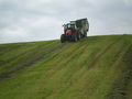 Silage 09 im kleinen format 68017710