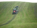 Silage 09 im kleinen format 68017725