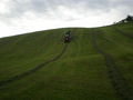 Silage 09 im kleinen format 68017742