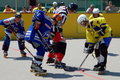 Inlinehockey Liga 2007-2008 21355478