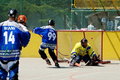 Inlinehockey Liga 2007-2008 21355483