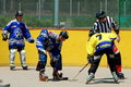 Inlinehockey Liga 2007-2008 21355490