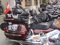 Ƹ̵̡Ӝ̵̨̄ƷHaRlEy TrEfFeN 1.5.2010Ƹ̵̡Ӝ̵̨̄Ʒ 73242416