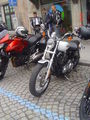 Ƹ̵̡Ӝ̵̨̄ƷHaRlEy TrEfFeN 1.5.2010Ƹ̵̡Ӝ̵̨̄Ʒ 73242433