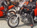 Ƹ̵̡Ӝ̵̨̄ƷHaRlEy TrEfFeN 1.5.2010Ƹ̵̡Ӝ̵̨̄Ʒ 73242504