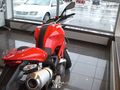 Neue Ducati 54337124