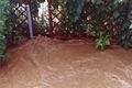 Hochwasser 2002 55895798