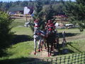 Horses 52762973