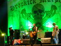 Dropkick Murphys Konzert  63243838