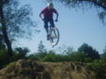 BMX-LINZ 59733411