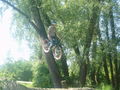 BMX-LINZ 59733480