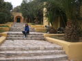 *Urlaub Tunesien 2010* 71863284