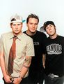 blink 182 71874352