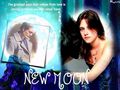 new moon and biss zum morgengrauen 62434331