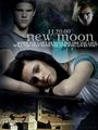 new moon and biss zum morgengrauen 62434337