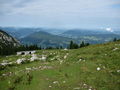 Hochlecken 2009 72481898